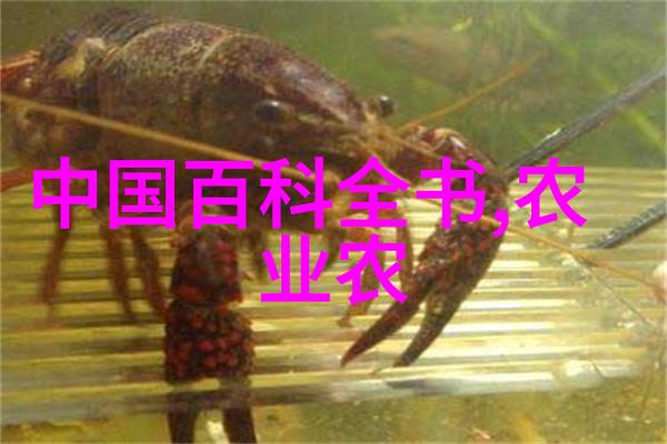 雀舌黄杨